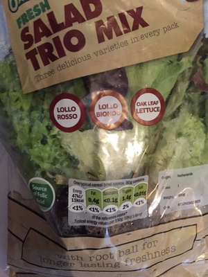 Multicolor Salat mit Wurzeln - Product - en
