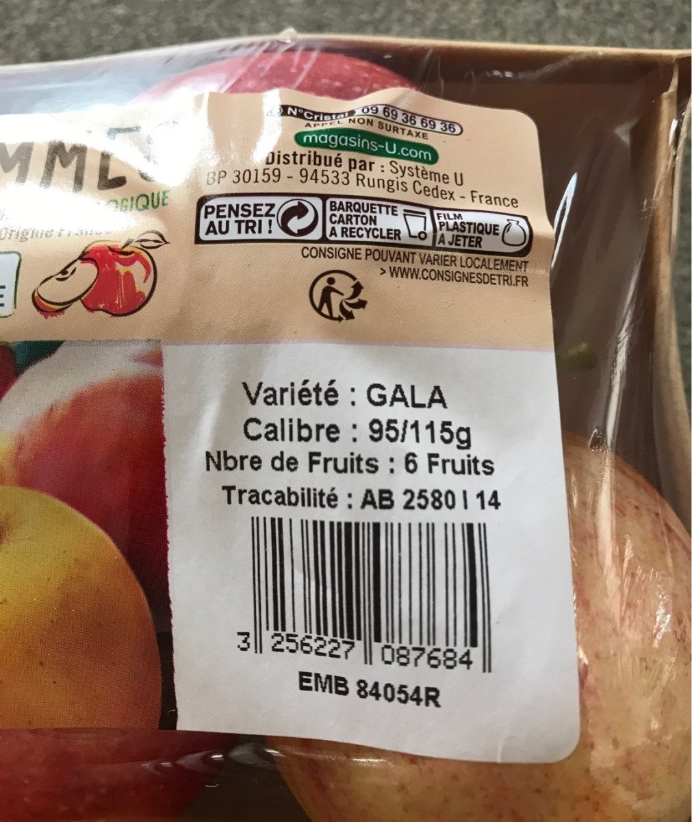 Pomme Gala, 6 fruits calibre 95/115 - Ingredients - fr