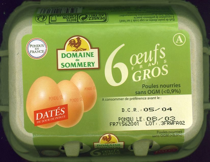 Oeufs gros - Product - fr