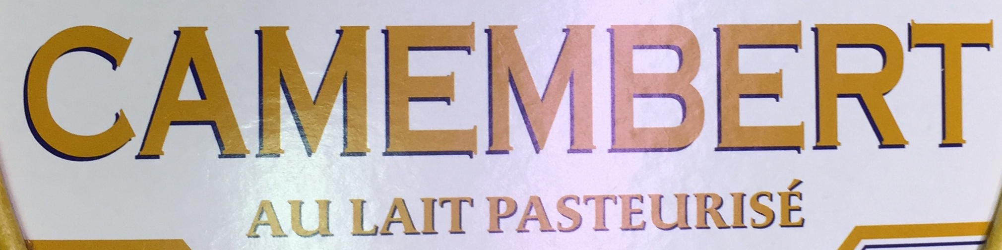 Camembert au Lait Pasteurisé (23 % MG) - Ingredients - fr
