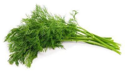 Dill Packaging - 1