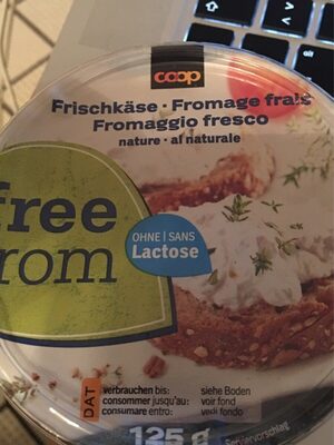 Fromage frais sans lactose - Product - fr