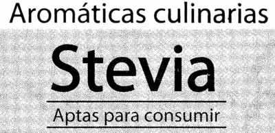 Maceta de stevia - Ingredients - es