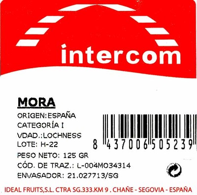 Mora Intercom - 1
