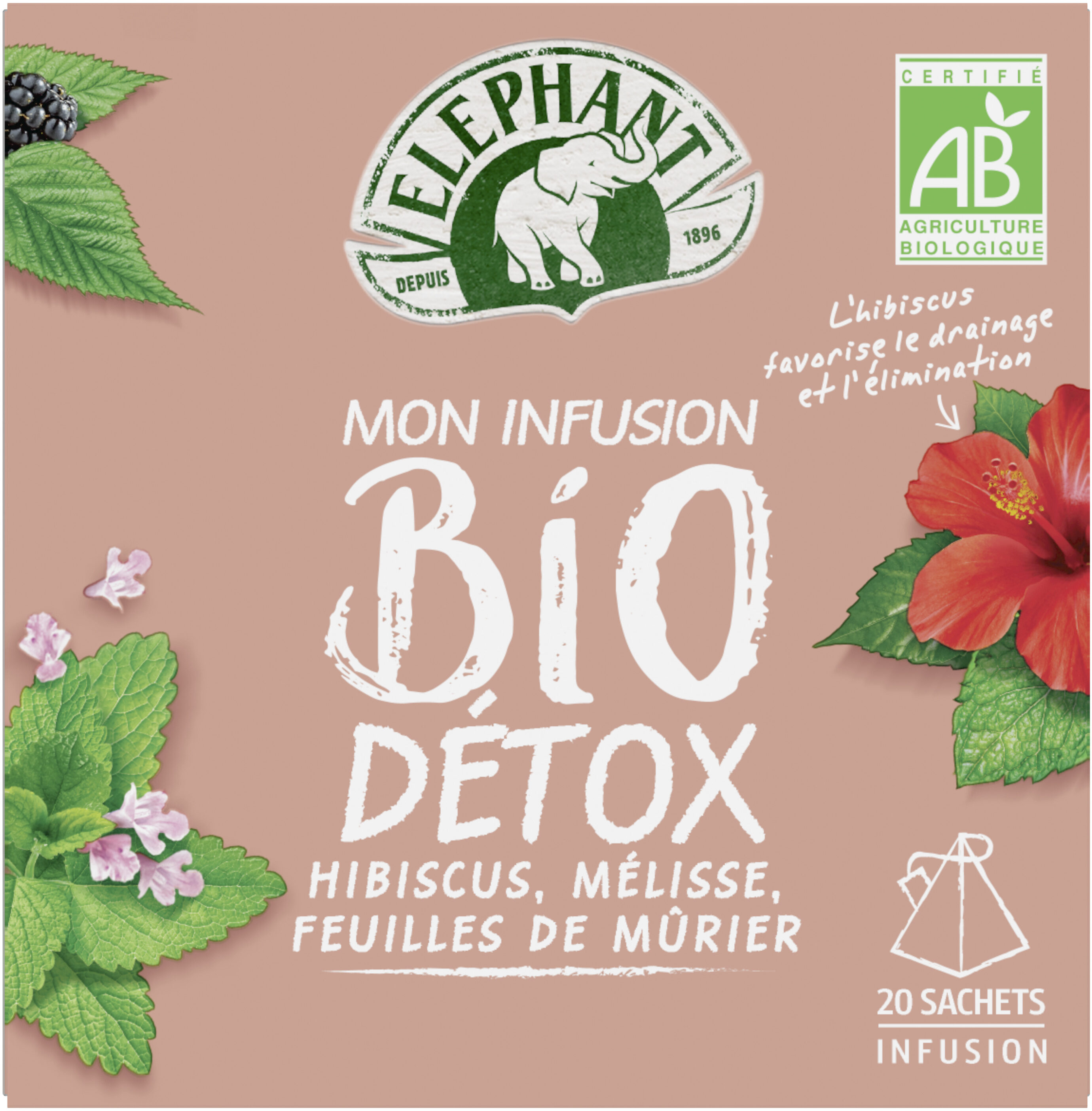 Elephant Mon Infusion Bio Détox 20 Sachets Pyramid® - Product - fr