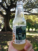 Pop Art Ginger Beer - Product - en